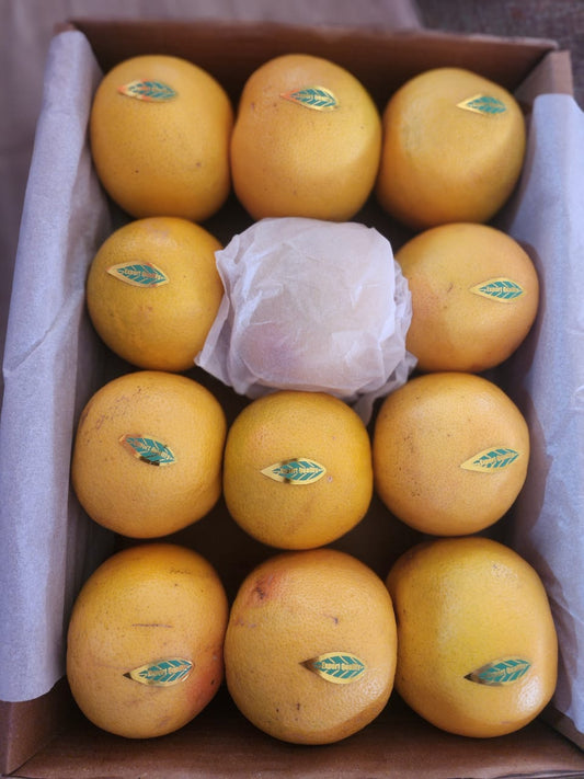 Premium Quality Grapefruit Box 5kg Each.