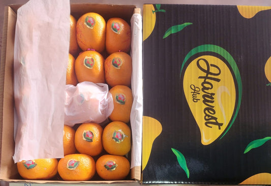 Premium Quality Oranges box 5 Kg