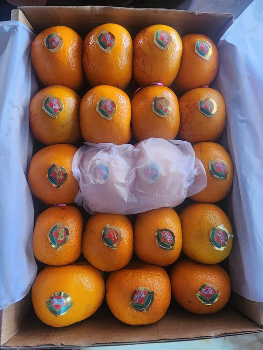 Premium Quality Oranges box 5 Kg