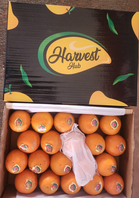 Bundle Deal-Premium Quality Musambi