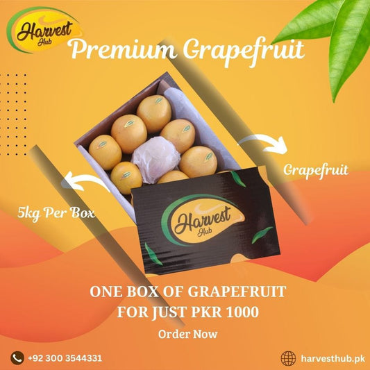 Premium Quality Grapefruit Box 5kg Each.