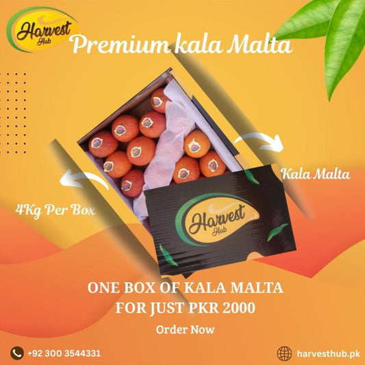 Premium Quality Kala Malta Box 4kg