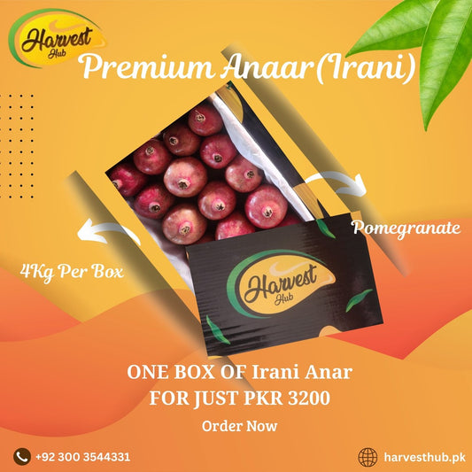 Bundle Deal-Premium Irani Anaar
