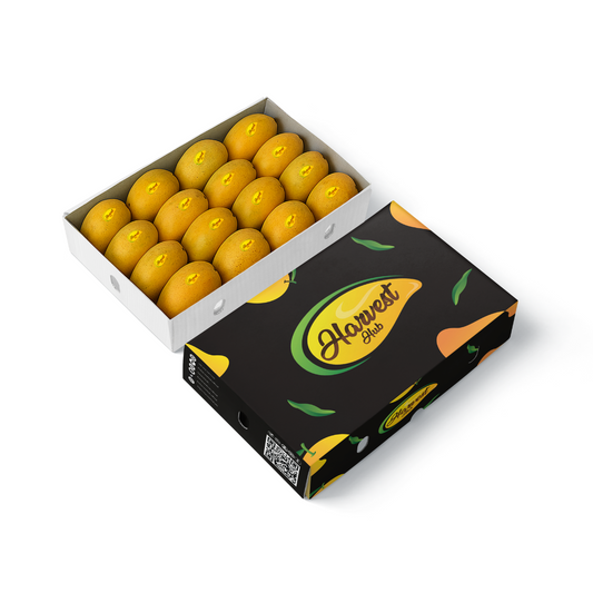 Premium Quality Langra Box 4kg Each.